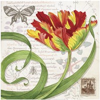 Tulip I Fine Art Print