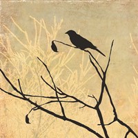 Perched Fine Art Print