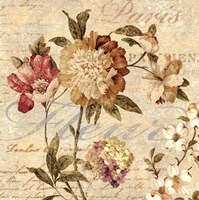 Fleur Paris II Framed Print