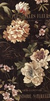 Fleurs Antique II Fine Art Print