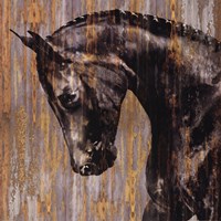 Horse I Fine Art Print