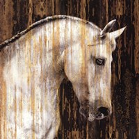 Horse II Fine Art Print
