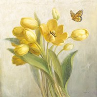 27" x 27" Tulips Pictures