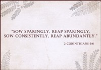 2 Corinthians 9:6 Fine Art Print