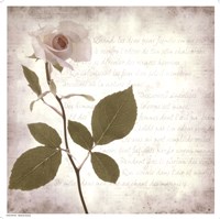 Retro Rose Fine Art Print