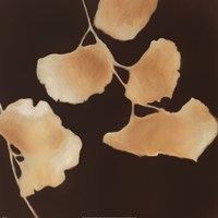 Leaves of Origin I by Julianne Marcoux - 27" x 27"