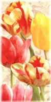 Glowing Tulips I by Janel Pahl - 12" x 24"