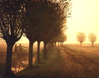 Misty Morning Fine Art Print