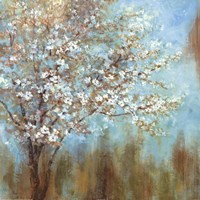 Cherry Blossoms Fine Art Print