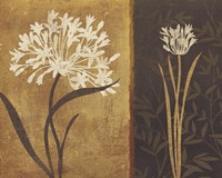 Yin Yang II Fine Art Print