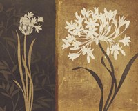 Yin Yang I Fine Art Print