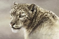 Serenity Fine Art Print