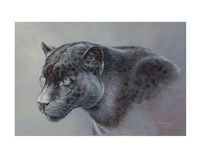 Shadow Hunter Fine Art Print