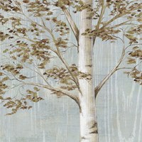 Birch Study I Fine Art Print