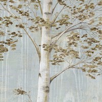 Birch Study II Fine Art Print