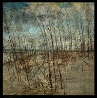 Masonboro Island No. 6 Fine Art Print