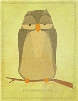 The Sensible Owl Framed Print