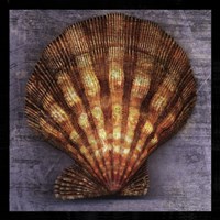 Blush Rose Framed Print