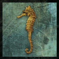Seahorse Fine Art Print