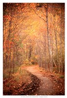 Winding Autumn Path Fine Art Print