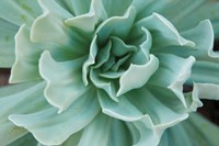 Topsy Turvy Fine Art Print