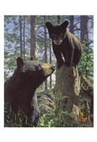 Stump Jumper Fine Art Print