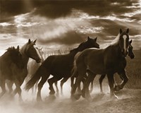 Running Horses & Sunbeams Fine Art Print