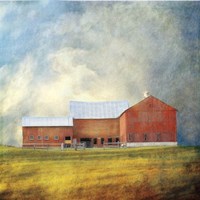 20" x 20" Barns Pictures