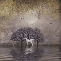 White Horse in Pond Fine Art Print
