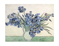 14" x 11" Van Gogh Florals