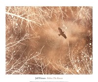 Follow The Raven by Jeff Friesen - 16" x 13"
