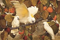Persimmons & Cockatoos by Jessie Arms Botke - various sizes