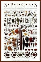 Spices and Culinary Herbs by Ziegler/Keating - 24" x 36"