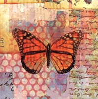 Homespun Butterfly IV by Dominic Orologio - 12" x 12"