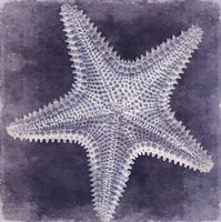 Ocean Blue I Fine Art Print