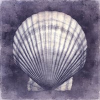 Ocean Blue II Fine Art Print