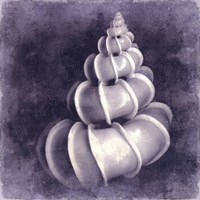 Ocean Blue III Fine Art Print