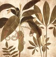 Palm Persuasion I Fine Art Print