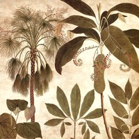 Palm Persuasion II Fine Art Print