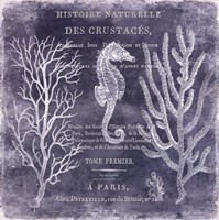 The Deep Blue Sea II Fine Art Print