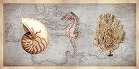 Sea Treasures I Fine Art Print