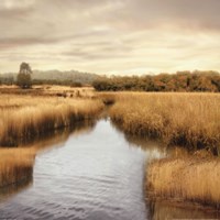 Morning Calm I Fine Art Print