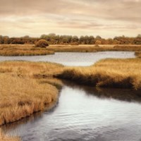 Morning Calm II Fine Art Print