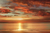 Sunlit Fine Art Print