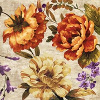 Brilliant Bloom II Fine Art Print