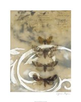 Nocturnes I Framed Print