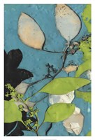 Leaf Extraction I Fine Art Print