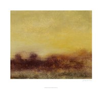 Sunlight II Framed Print