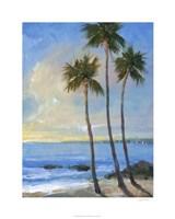 Tropical Breeze II Fine Art Print