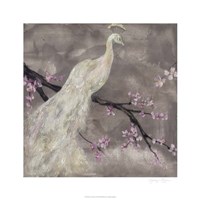 Peacock Serenity I by Jennifer Goldberger - 26" x 26" - $49.99